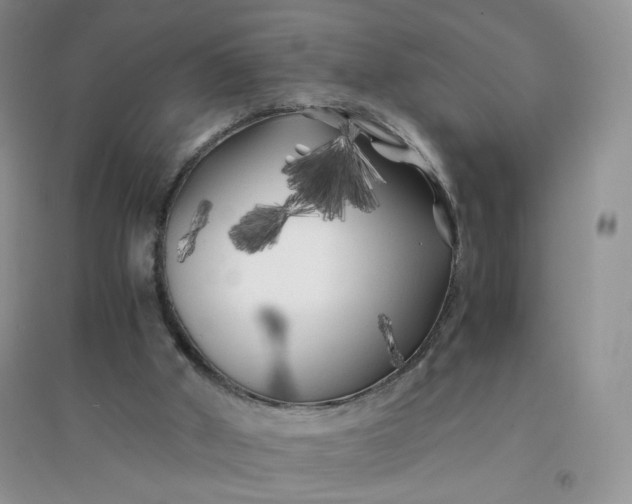 X0000096380010200802071524