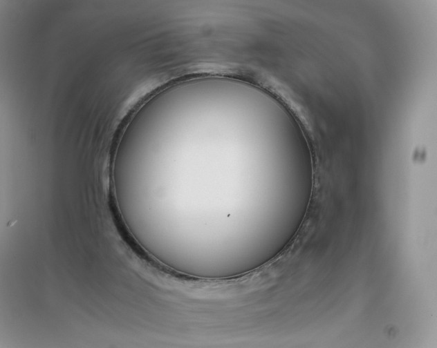 X0000096380011200802071524