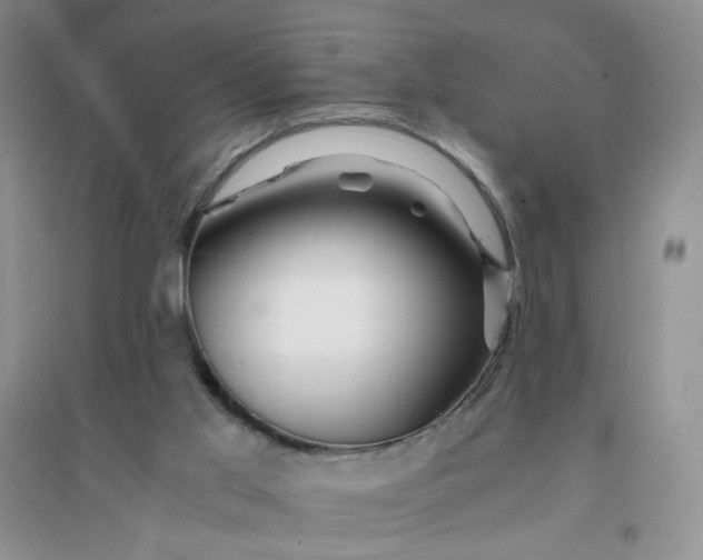 X0000096380013200802071524