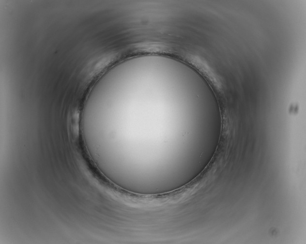 X0000096380014200802071524