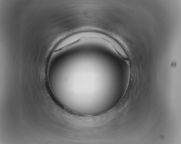 X0000096380015200802071524