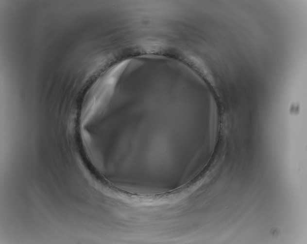 X0000096380018200802071524