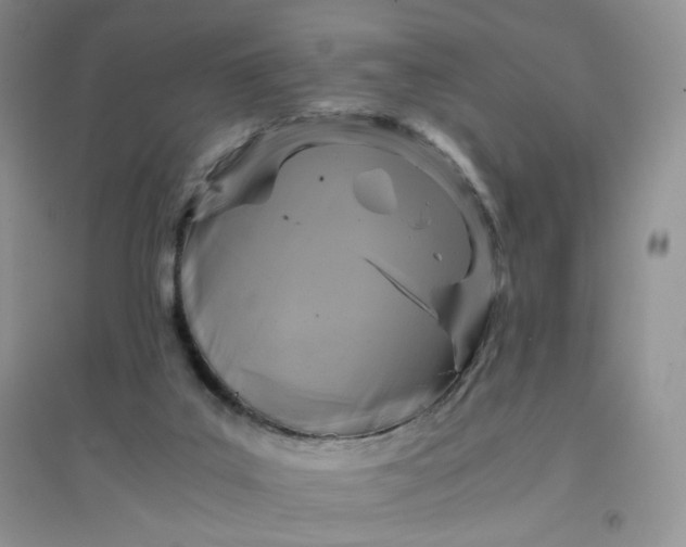 X0000096380019200802071524