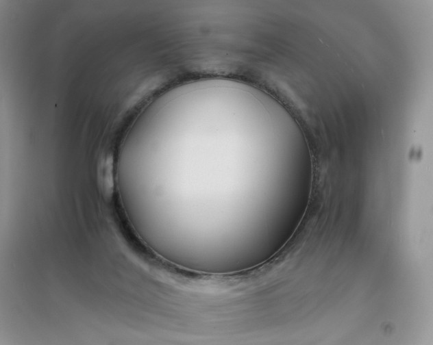 X0000096380020200802071524