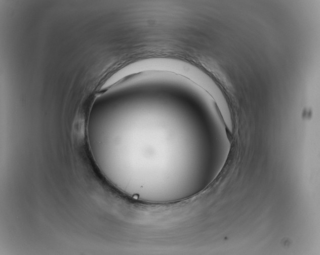 X0000096380021200802071524