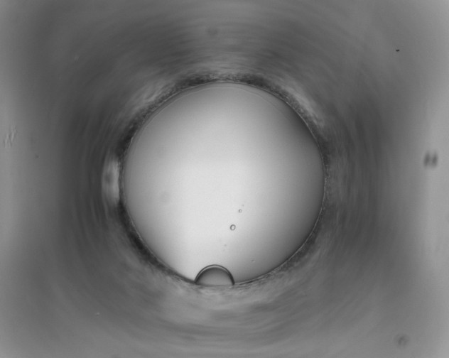 X0000096380022200802071524