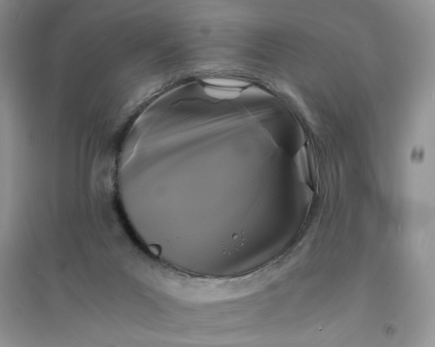 X0000096380023200802071524