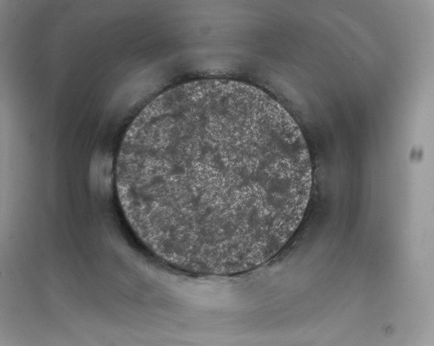 X0000096380024200802071524