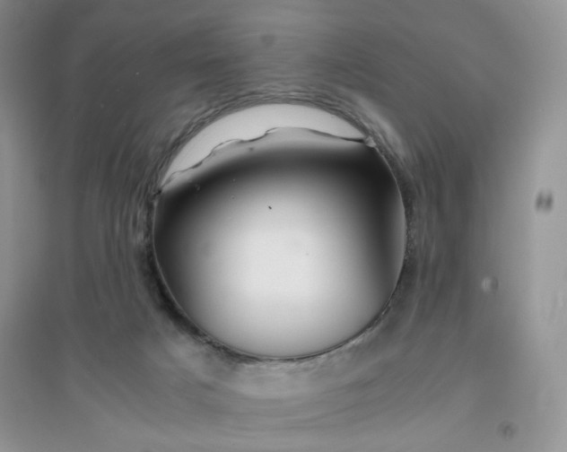 X0000096380025200802071524