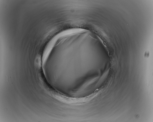 X0000096380027200802071524