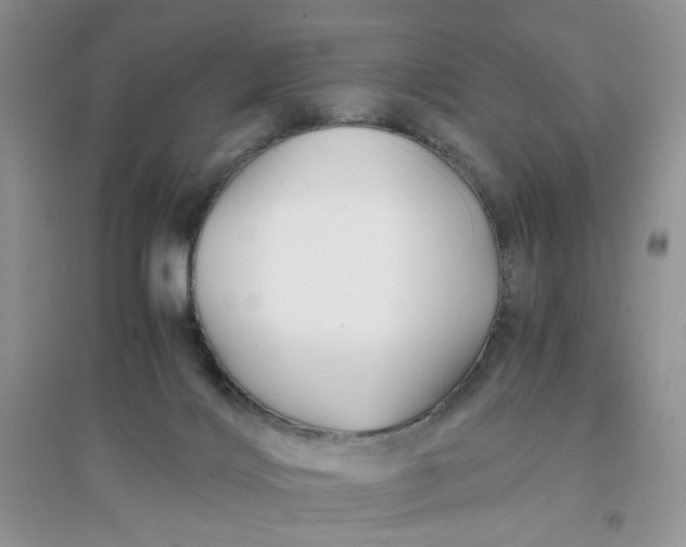 X0000096380028200802071524