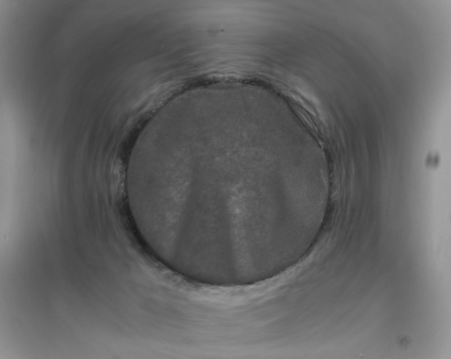 X0000096380029200802071524