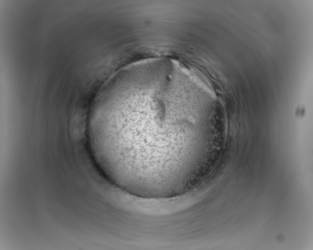 X0000096380030200802071524