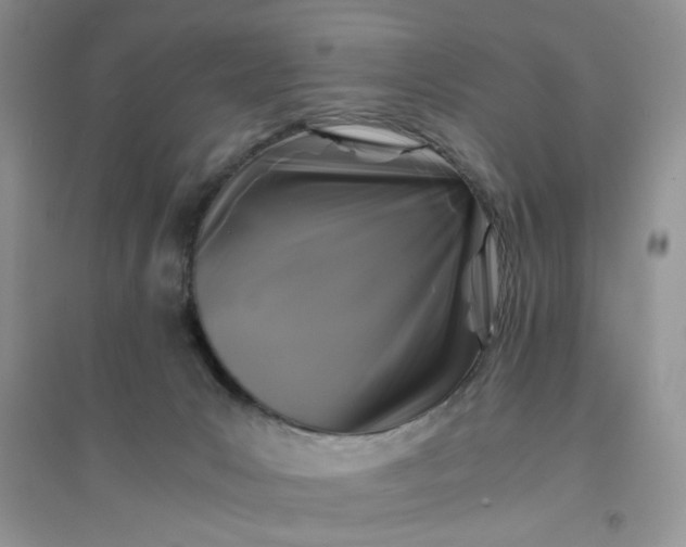 X0000096380031200802071524