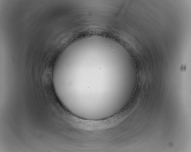 X0000096380034200802071524