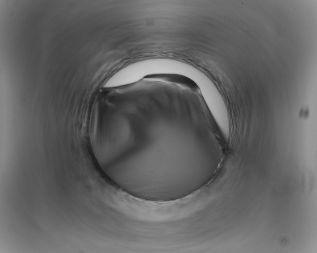 X0000096380035200802071524