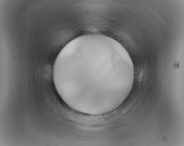 X0000096380036200802071524