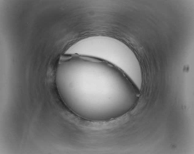 X0000096380037200802071524