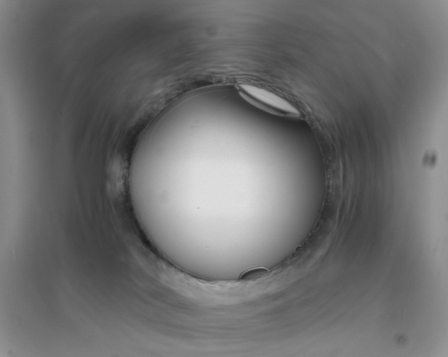 X0000096380038200802071524