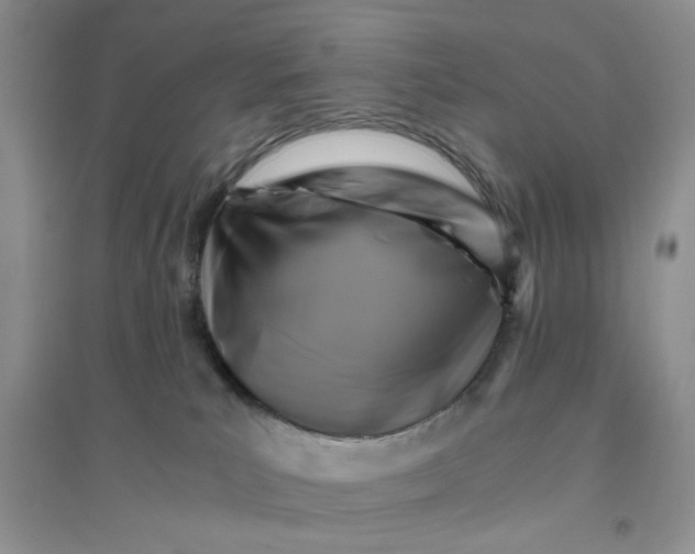 X0000096380039200802071524