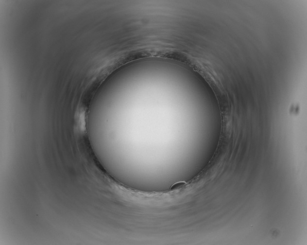 X0000096380042200802071524