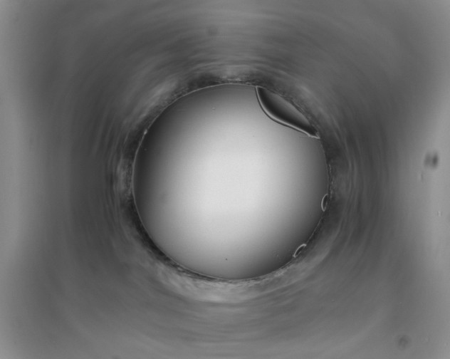 X0000096380044200802071524