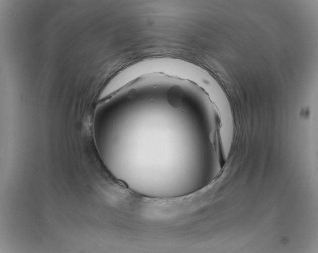 X0000096380045200802071524