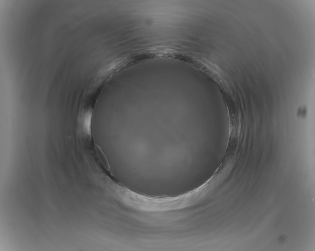 X0000096380047200802071523