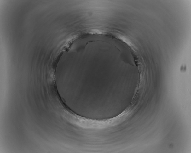 X0000096380048200802071523