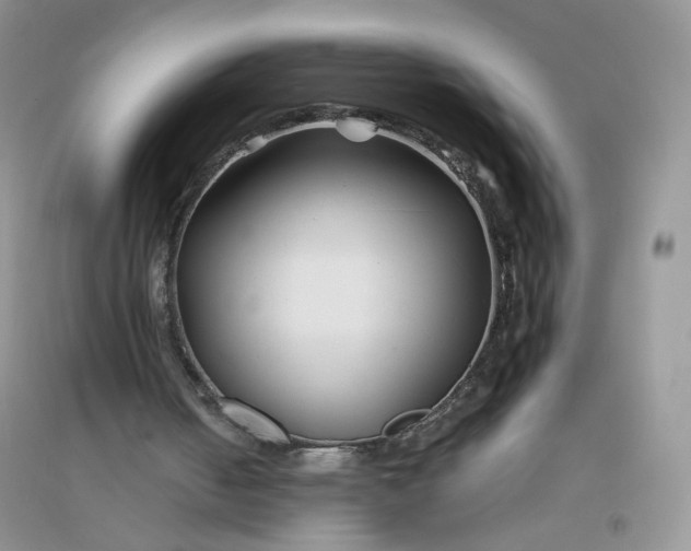 X0000096380050200802071523