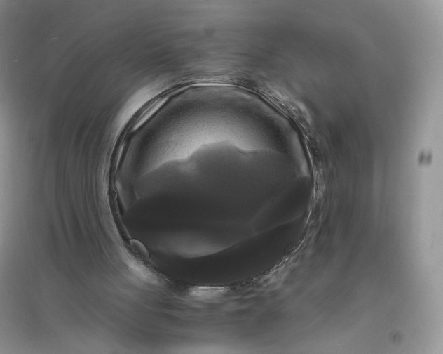 X0000096380051200802071523