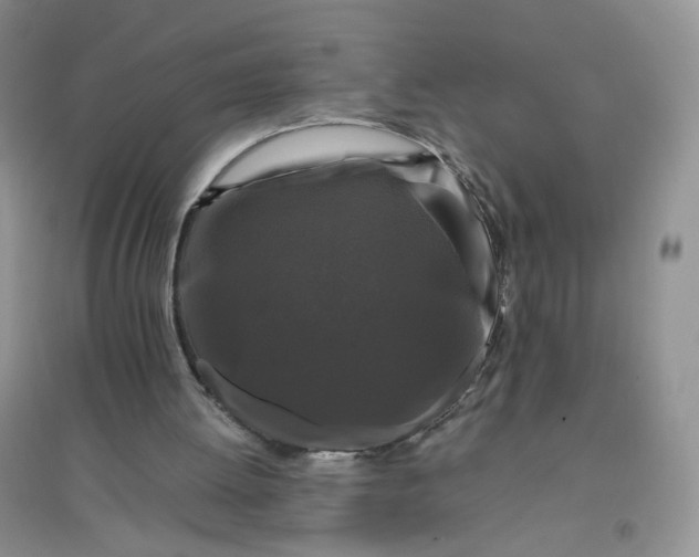 X0000096380052200802071523