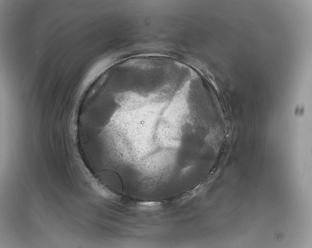 X0000096380053200802071523