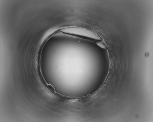 X0000096380054200802071523