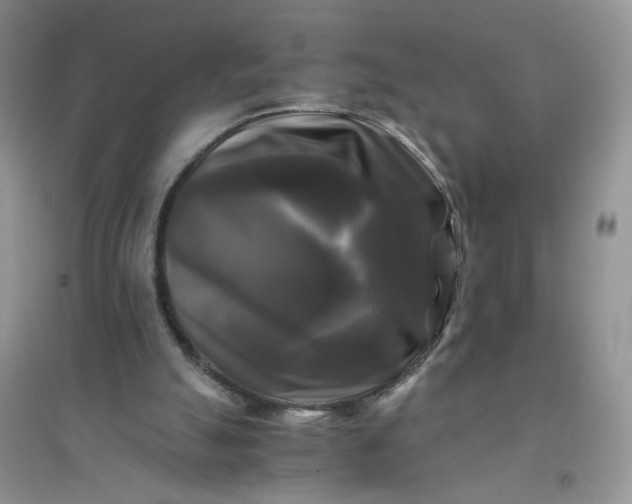 X0000096380055200802071523