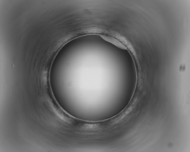 X0000096380057200802071523