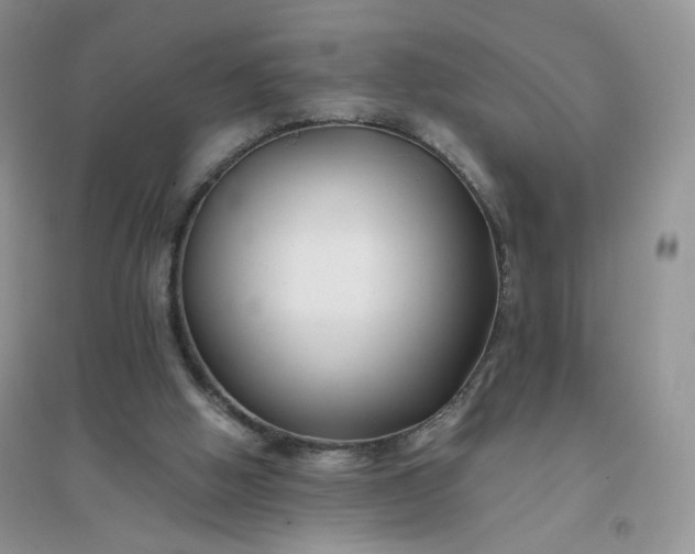 X0000096380058200802071523