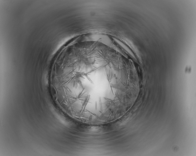 X0000096380060200802071523