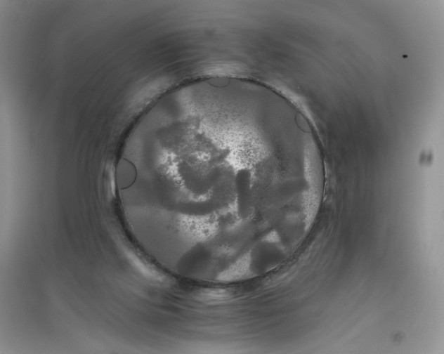 X0000096380061200802071523