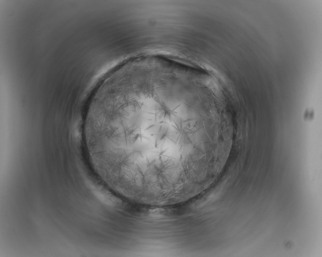 X0000096380064200802071523