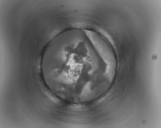 X0000096380065200802071523