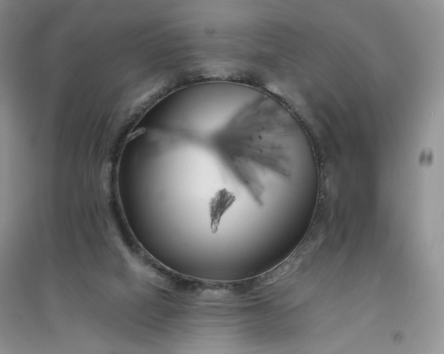 X0000096380066200802071523