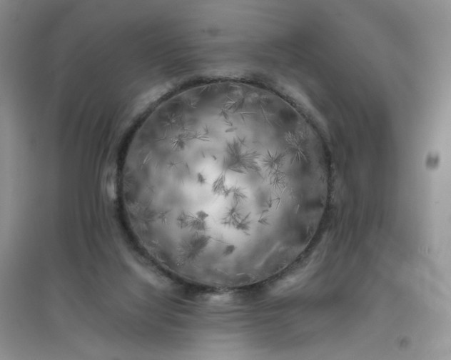 X0000096380068200802071523