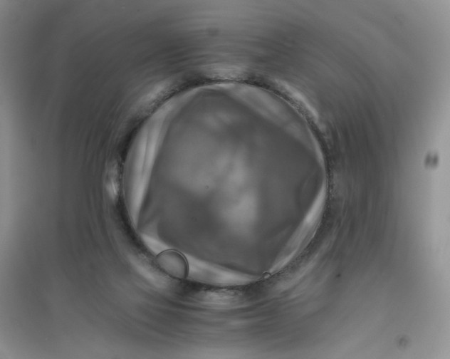 X0000096380069200802071523