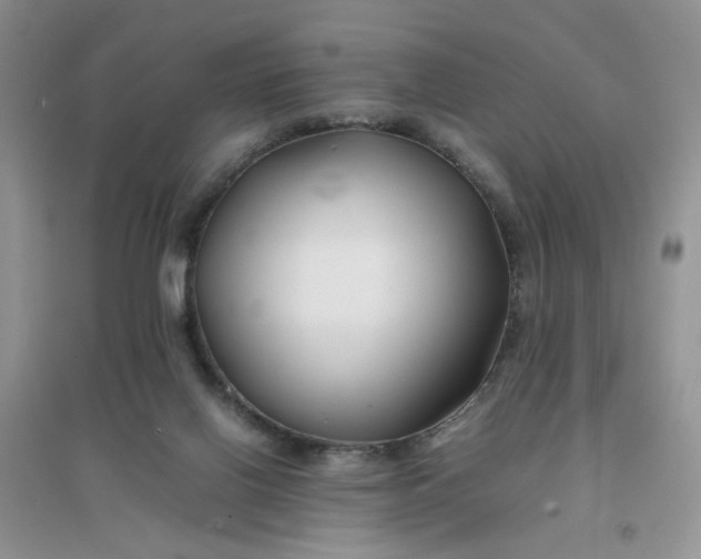 X0000096380070200802071523