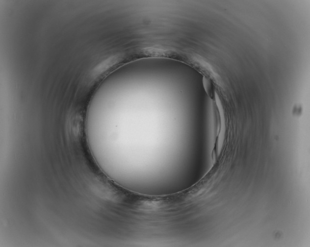 X0000096380071200802071523