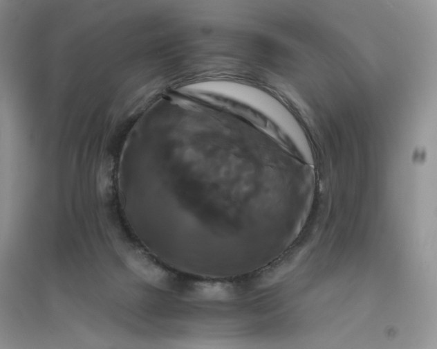 X0000096380073200802071523