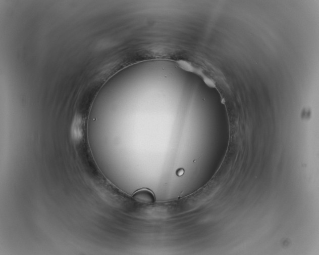 X0000096380075200802071523