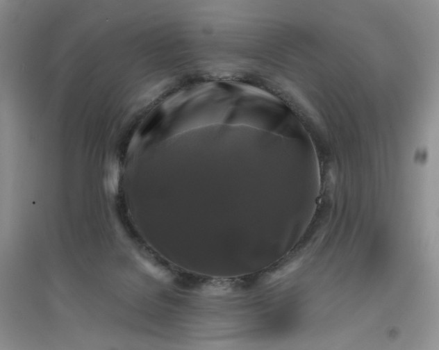 X0000096380076200802071523