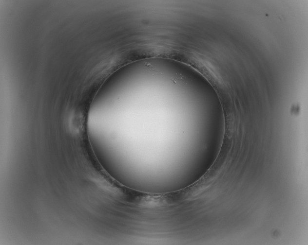 X0000096380077200802071523